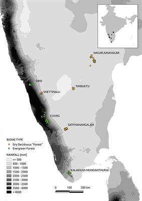 Functional Traits of Trees From Dry Deciduous “Forests” of Southern India Suggest Seasonal Drought and Fire Are Important Drivers